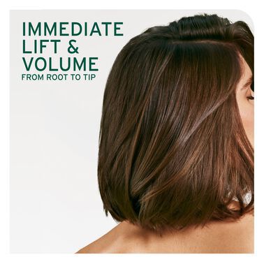 Volume Boost Root Lift Spray - Biolage Renovation NZ | L'Oréal Partner Shop